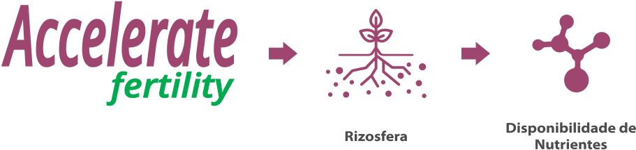 resultados-acc-fertility